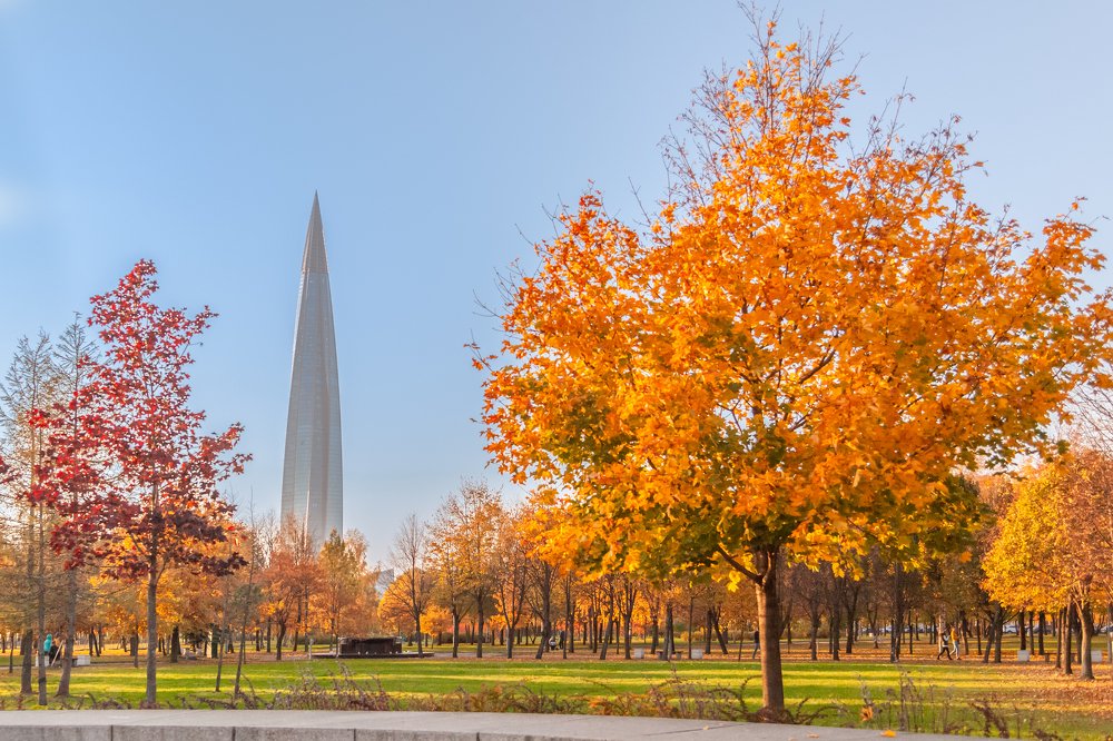 Фотография автора Анатолий Гарин