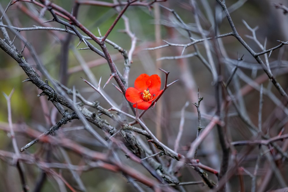 Фотография автора Анатолий Гарин