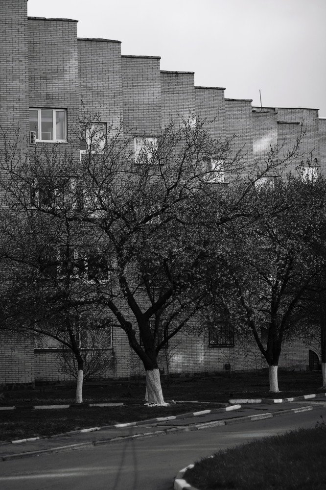 Фотография автора Александр Лиманский