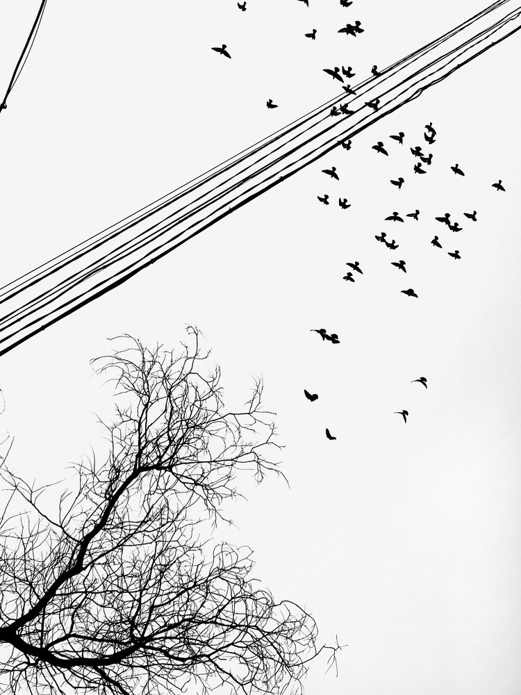 Photograph by Елена Николаева