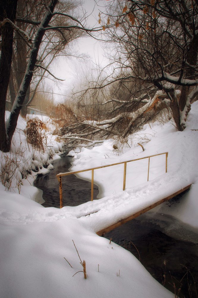 Photograph by Владимир Черных