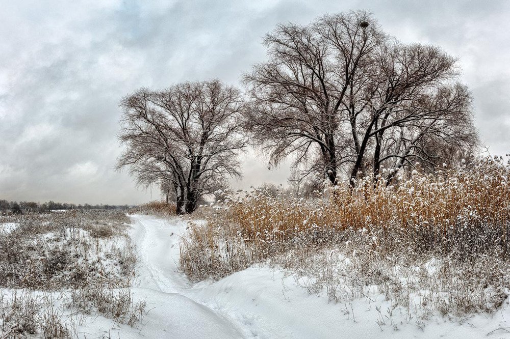 Photograph by Владимир Черных