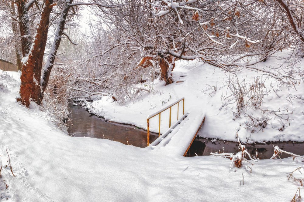 Photograph by Владимир Черных