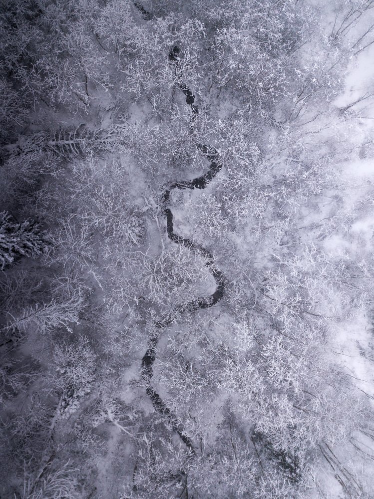 Photograph by Михаил Деревянов