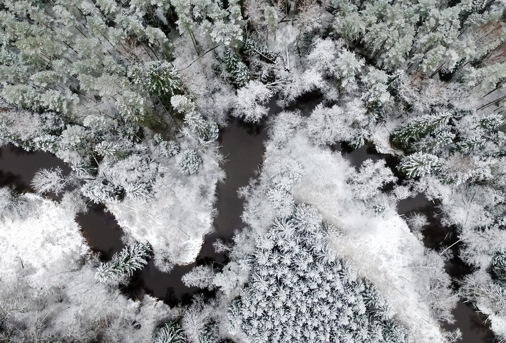 Photograph by Александр Абросимов