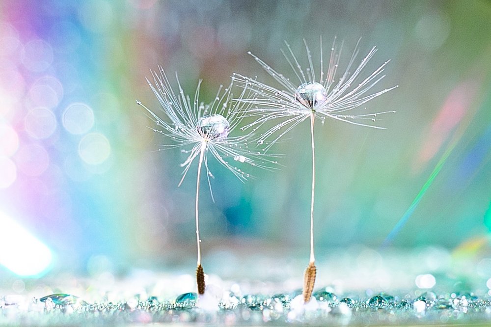 Photograph by Алена Зотова