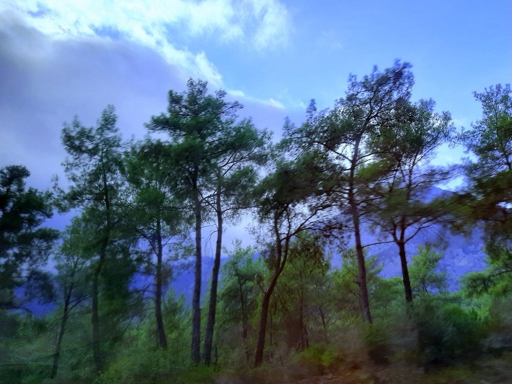 Photograph by Irina Gordienko