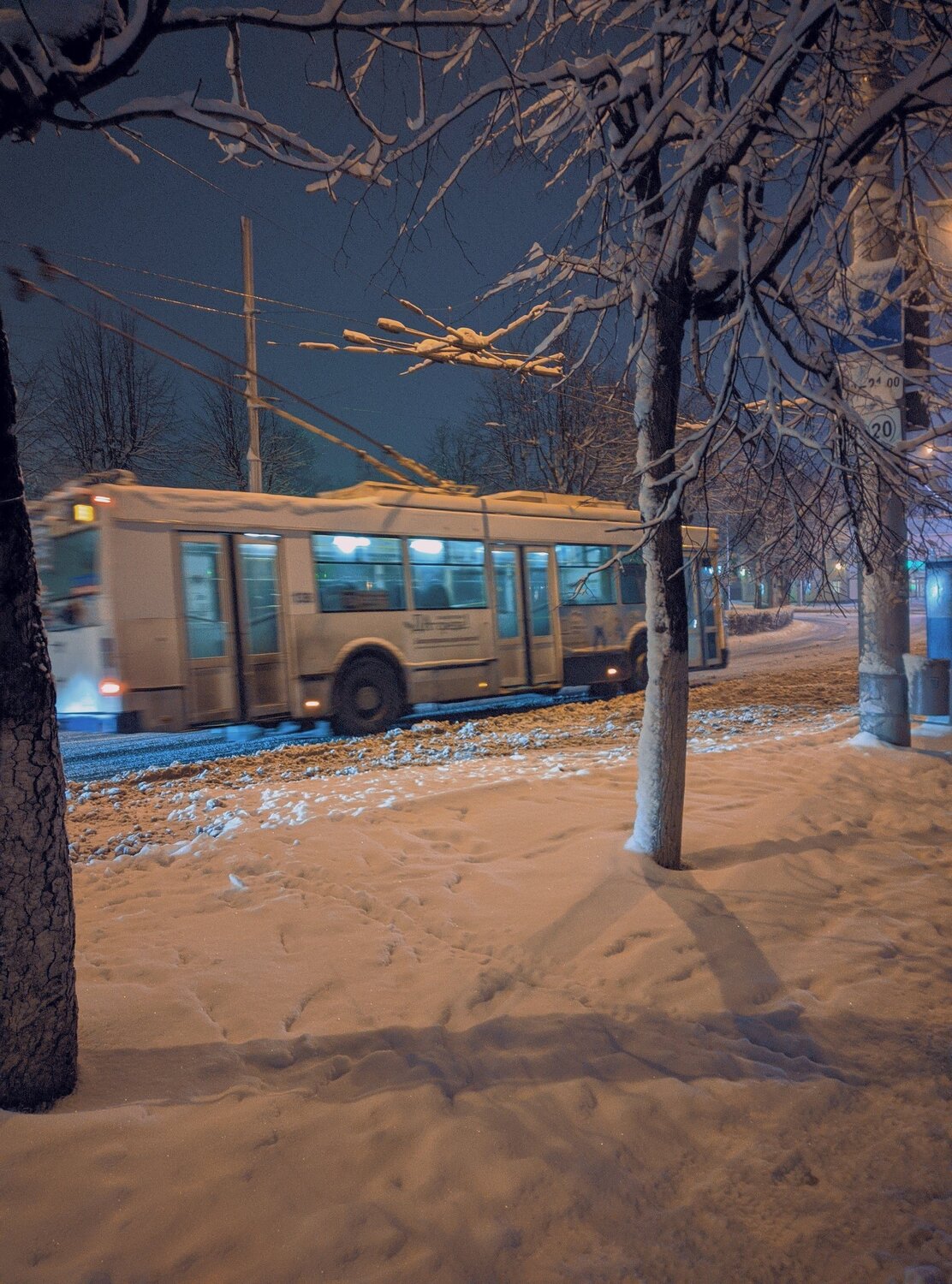 Photo #5515840