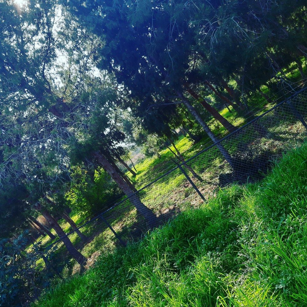 Photograph by Irena TURČINSKAJA