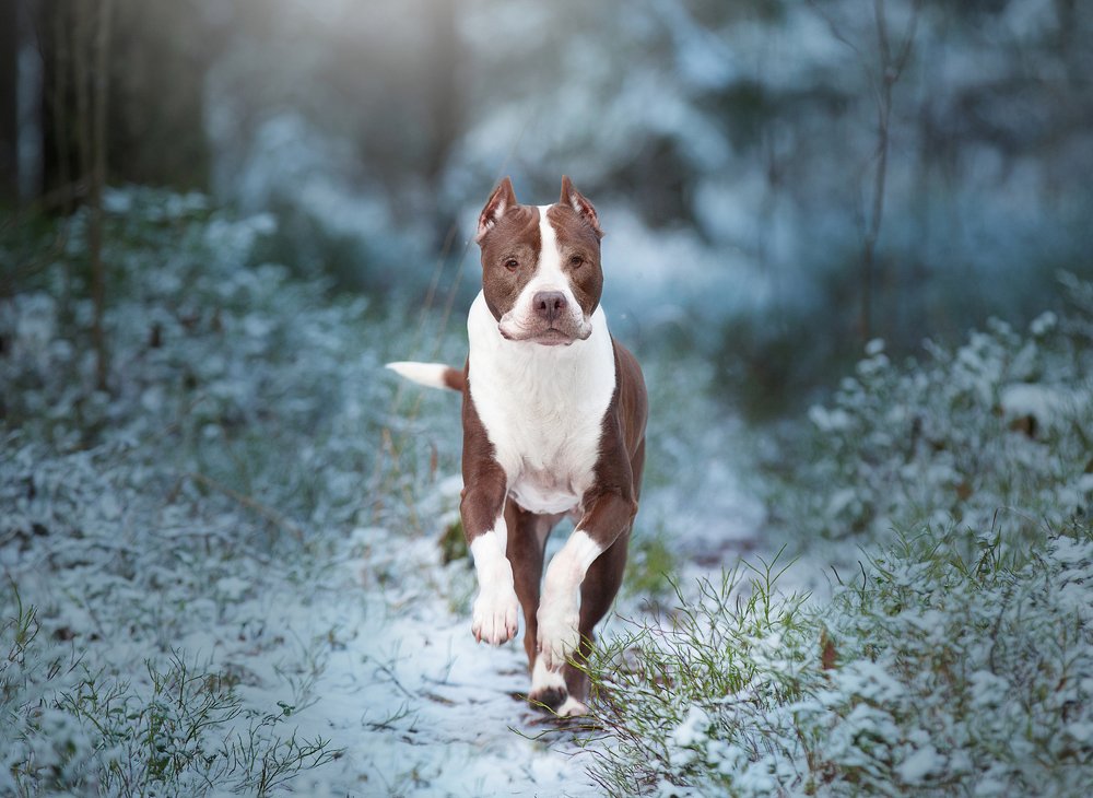 Photograph by Anna Oris