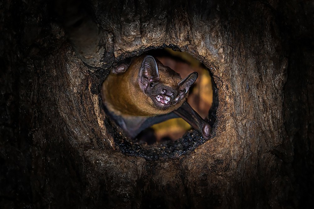 Photograph by Сергей Савви