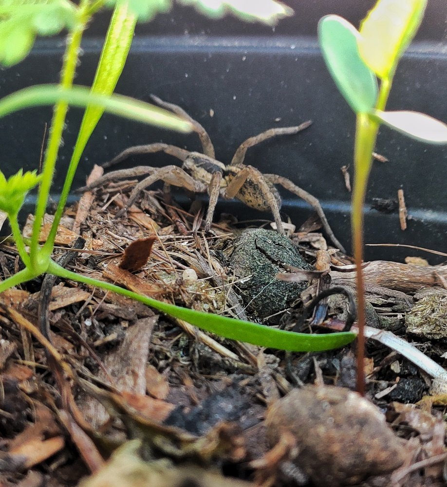 Фотография автора Yacine Meksi