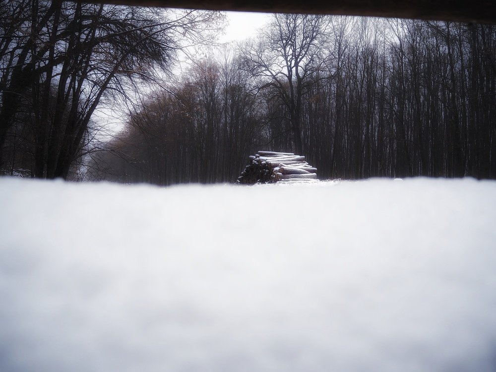 Фотография автора Kiss Gabor