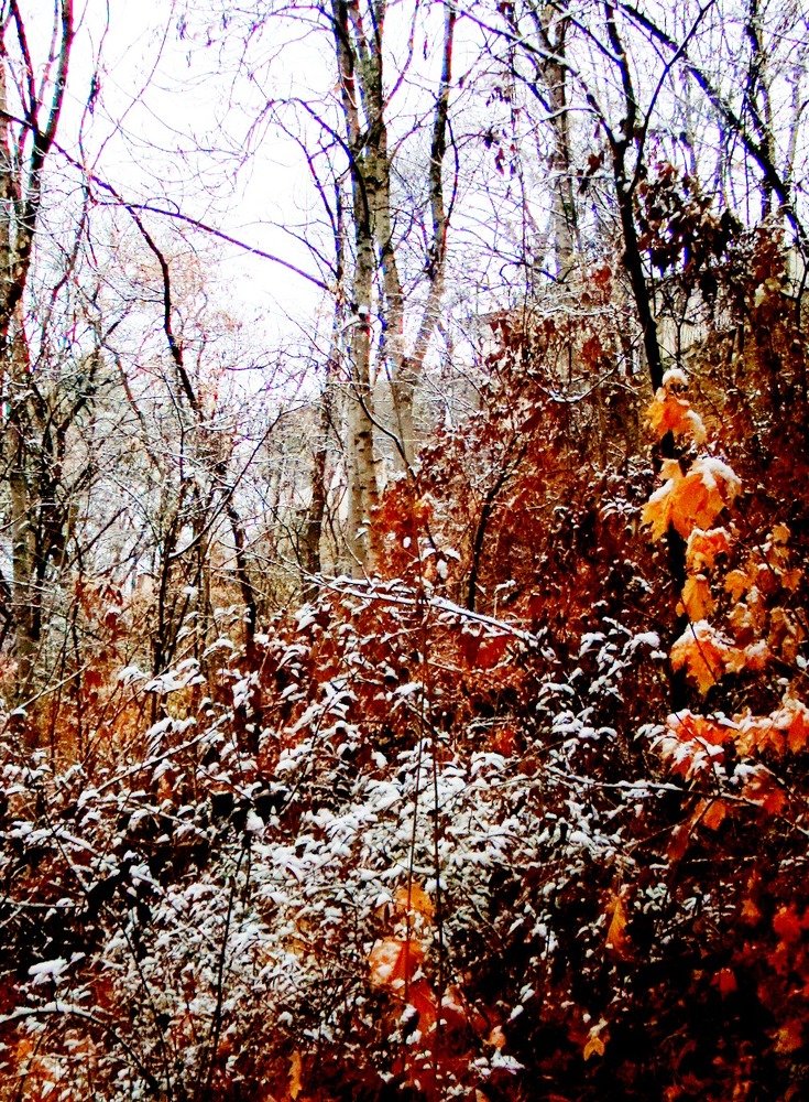 Photograph by Евгений Бригиневич - Снежин