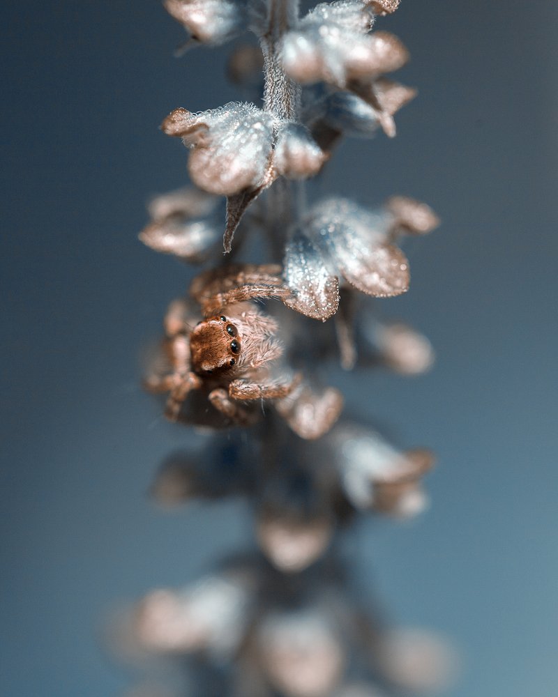 Photograph by Hemraj Chavhan A