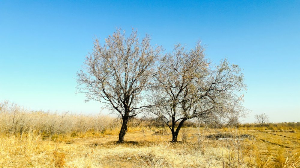 Photograph by Mozhgan Fotouhi
