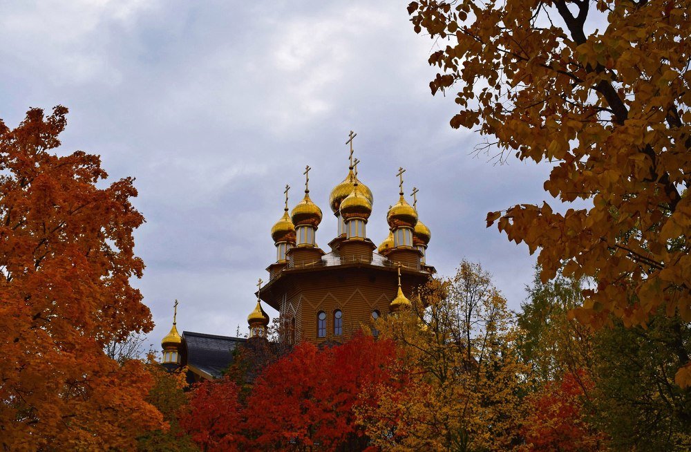 Фотография автора Алина