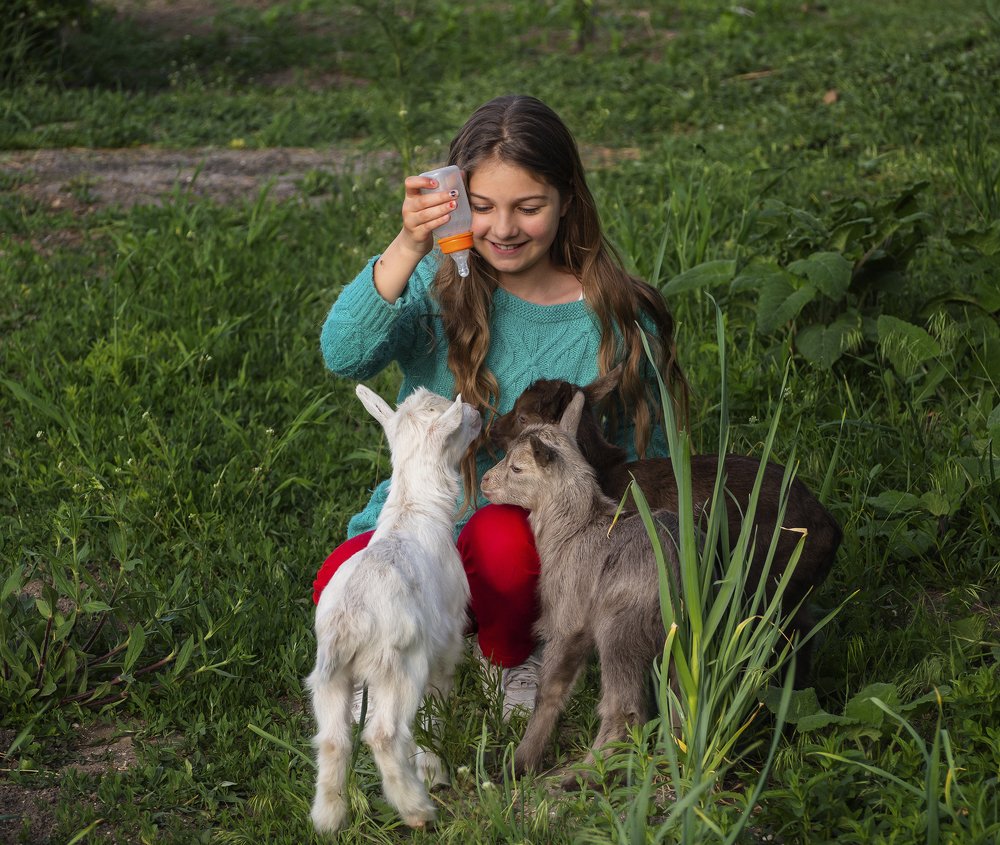 Фотография автора Александр Кротков