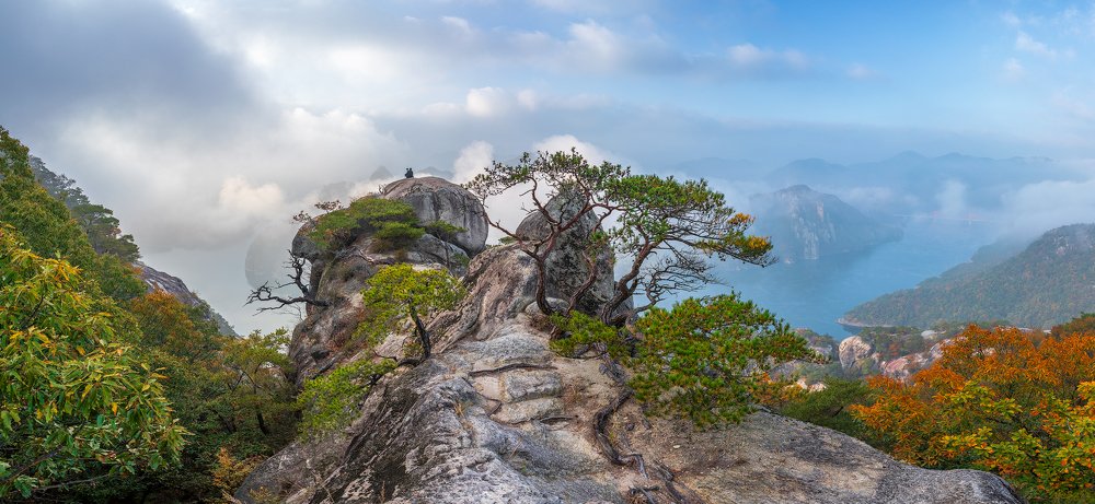 Variation of Imagination