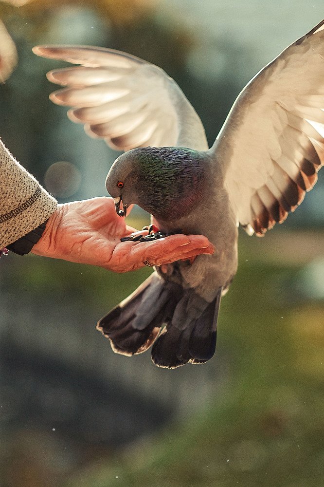 Photograph by MARIYA MALYSHEVA