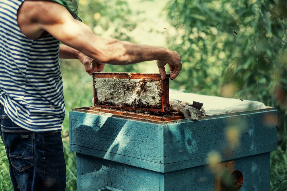 Photograph by MARIYA MALYSHEVA