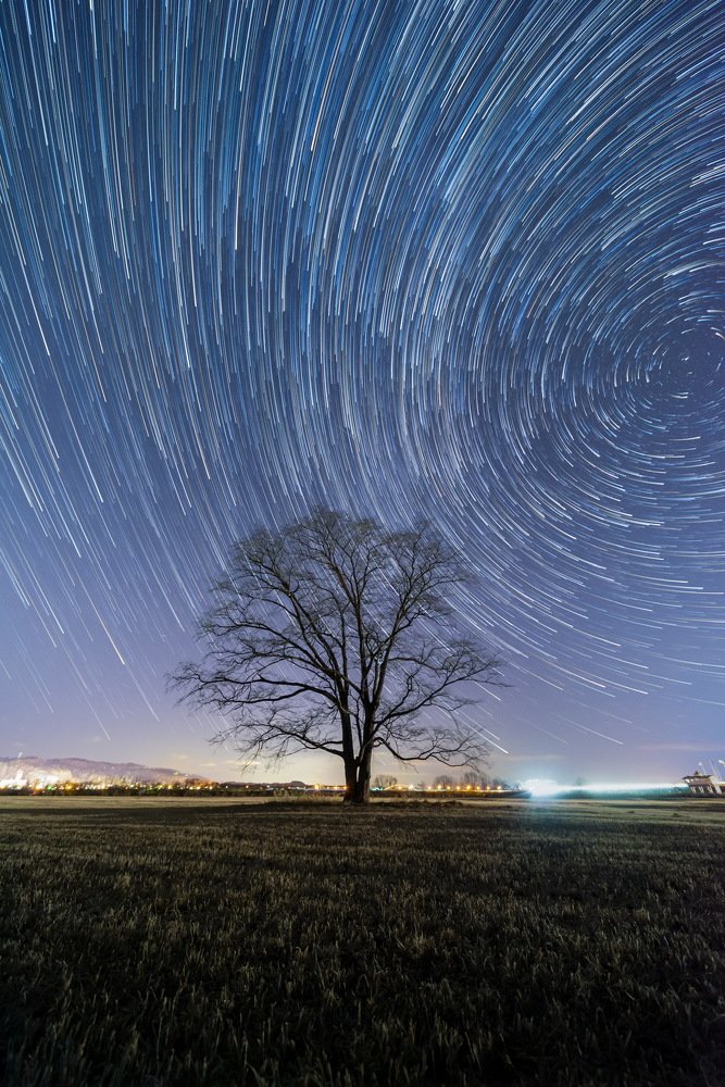 Photograph by Bao Ngoc Nguyen