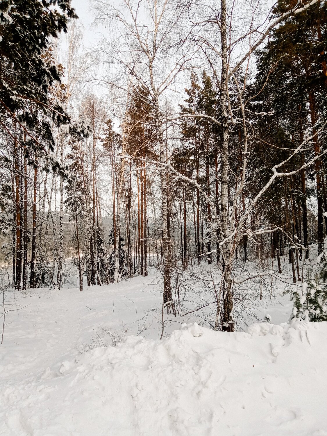 Photo #5516572