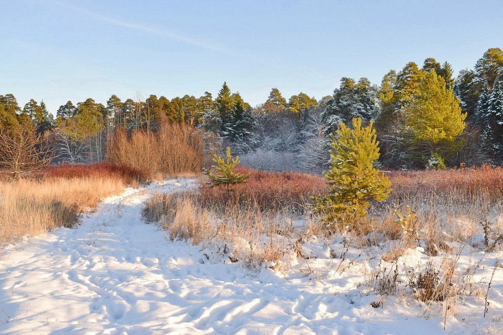 Photograph by Надежда Коновалова