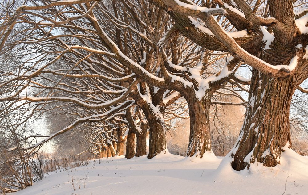 Photograph by Надежда Коновалова