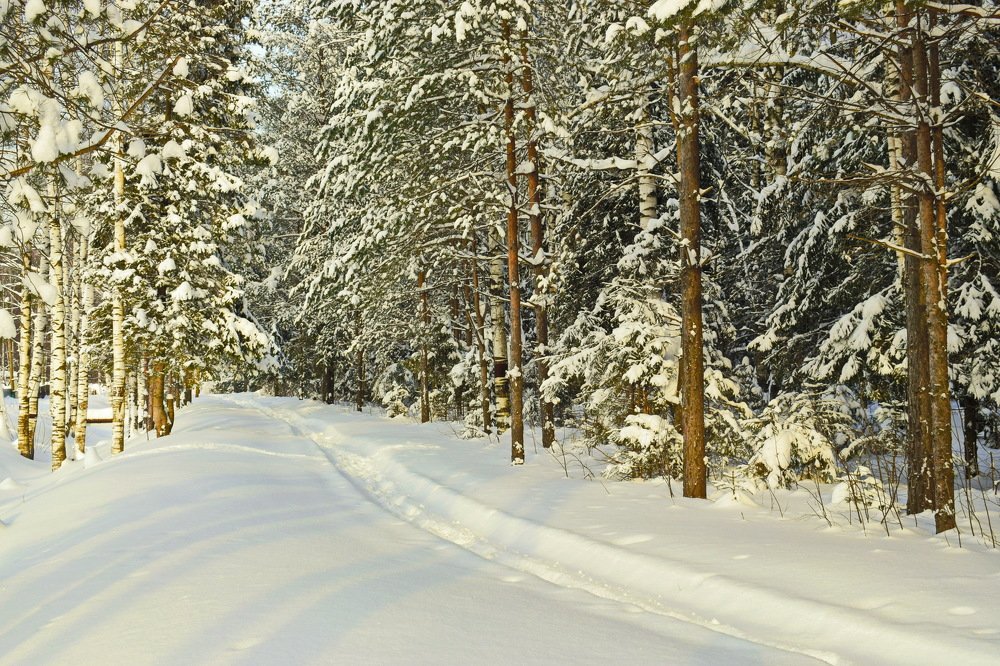 Photograph by Надежда Коновалова
