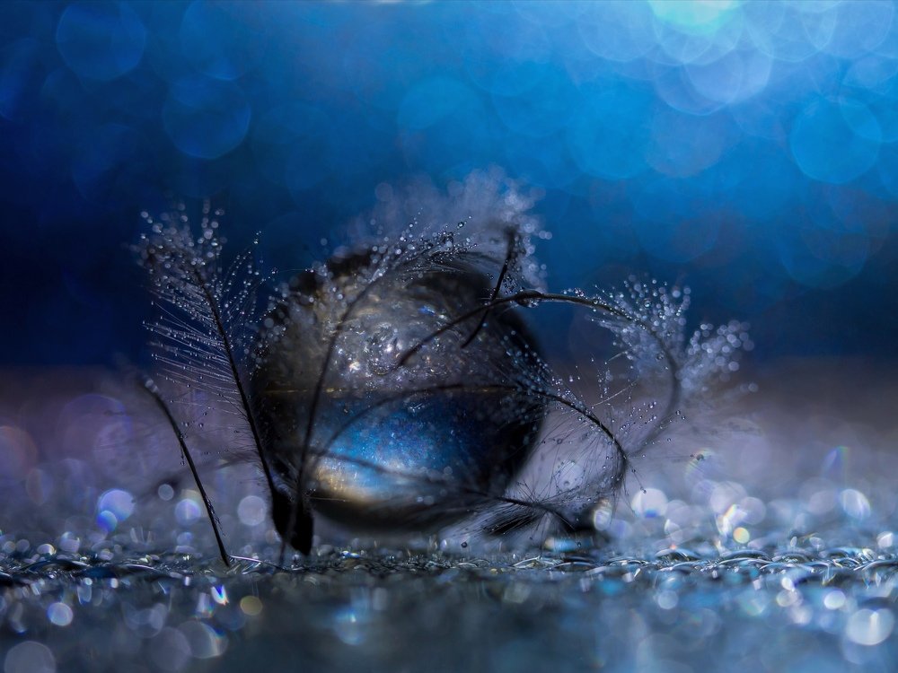 Photograph by Ксения Ершова