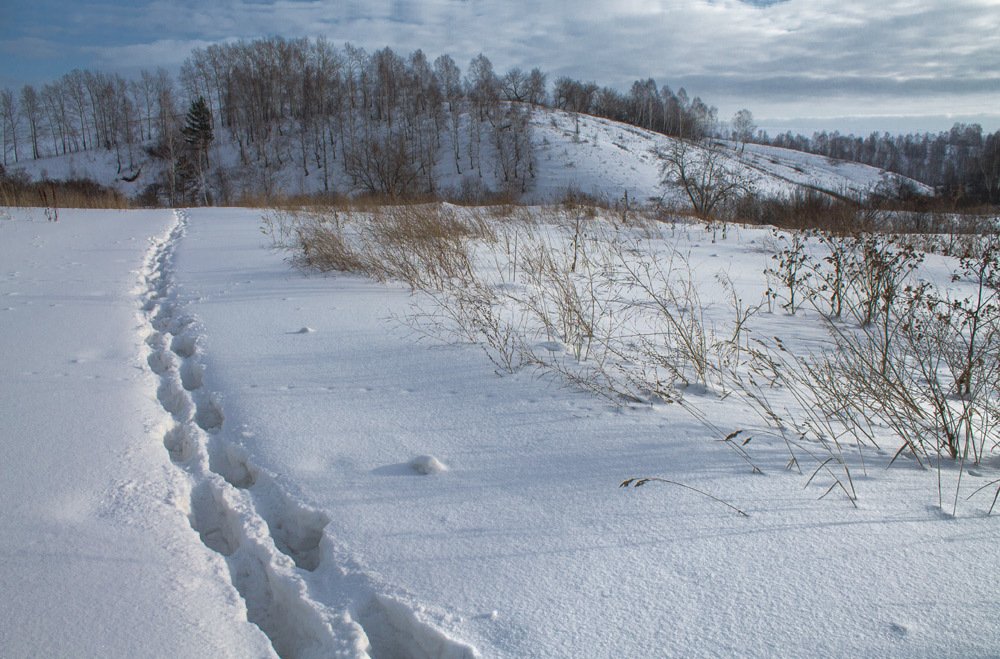 Photograph by Курочкина Диана