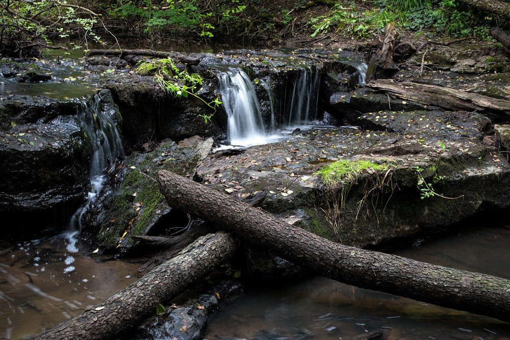 Photograph by  Александр