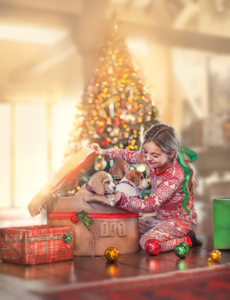 Photograph by Cayetana Saiz