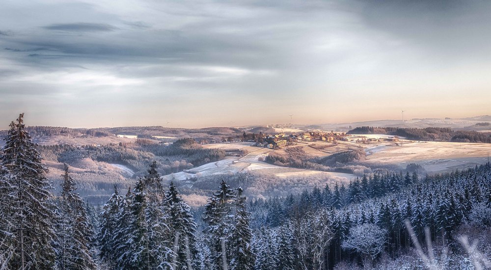 Photograph by Guy Krier