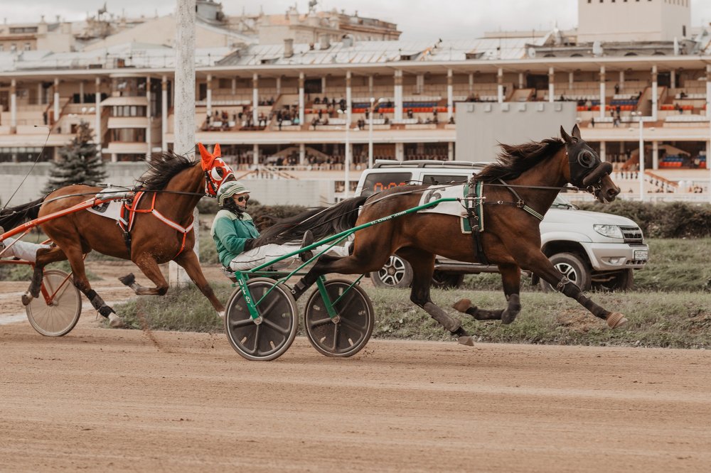 Photograph by Марина Кирпичникова