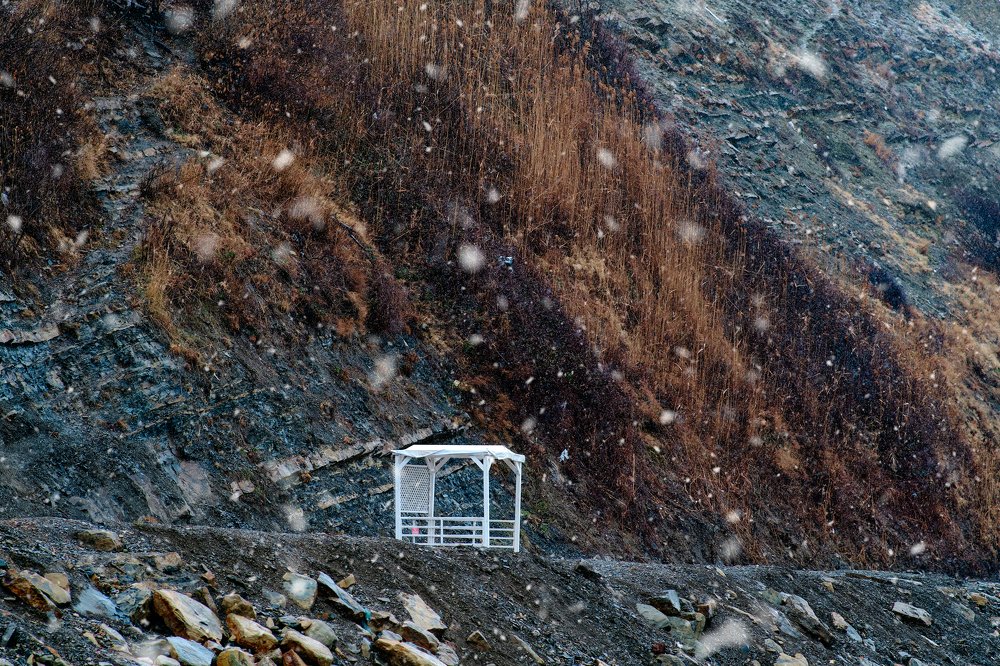 Photograph by Алексей Васин