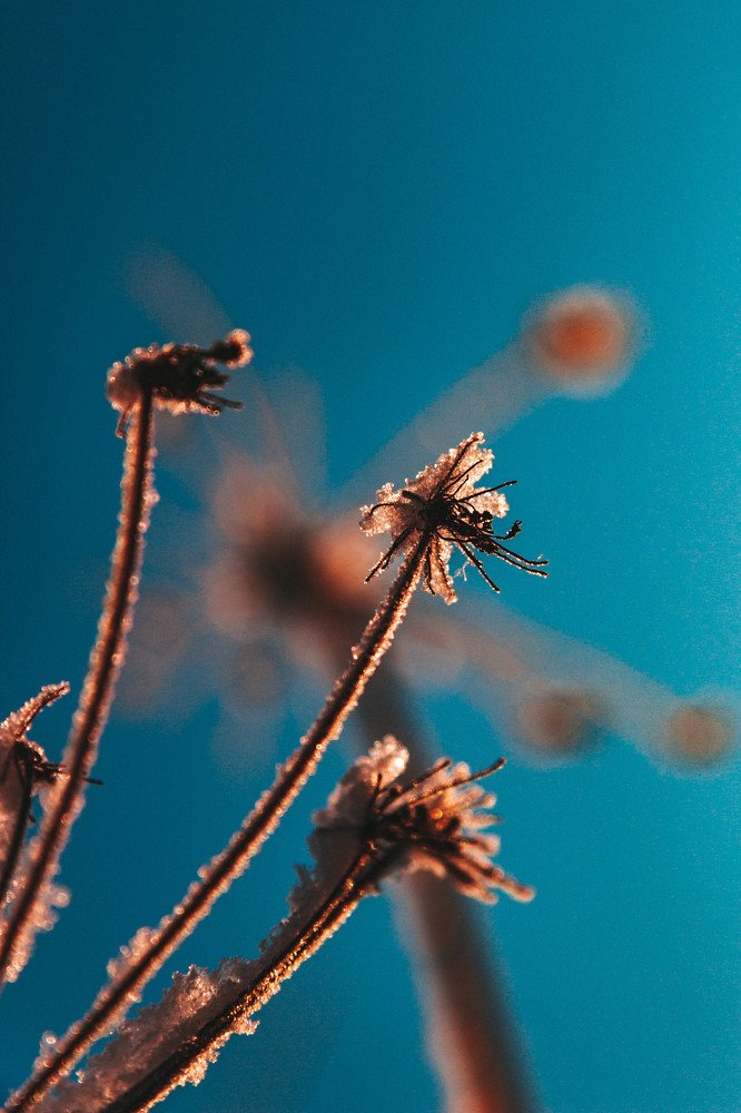 Photograph by Алексей Кабанихин