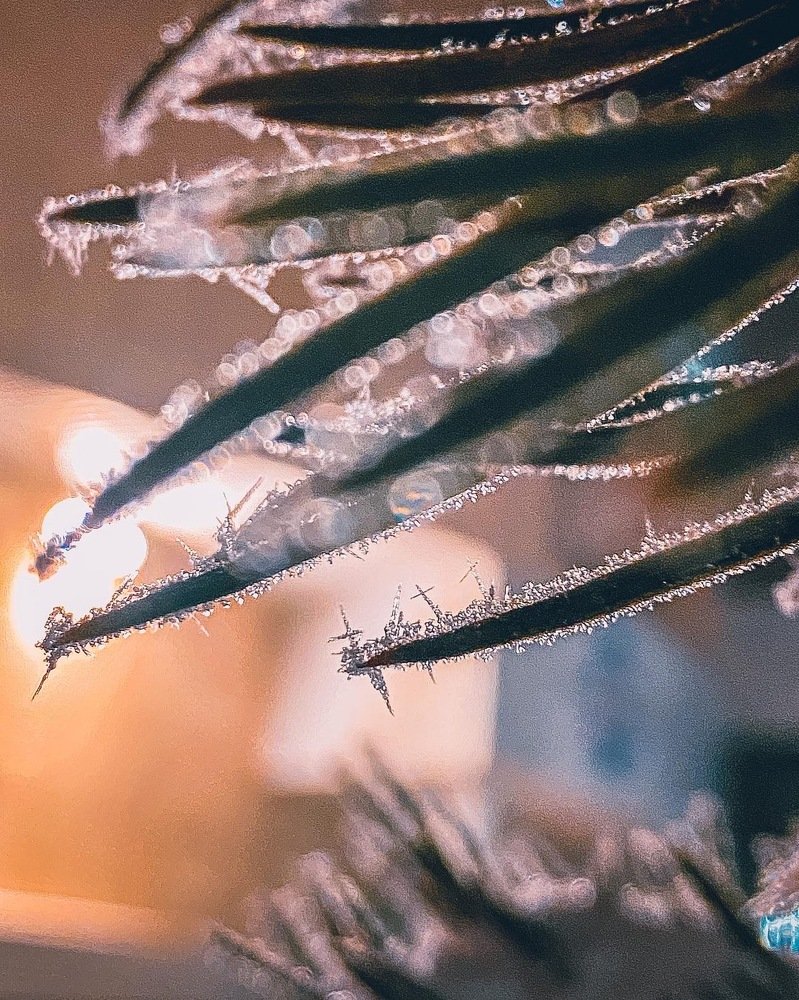 Photograph by Алексей Кабанихин