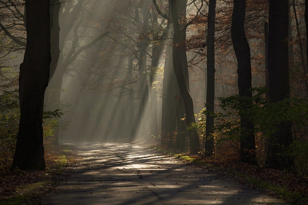 Photograph by  MiroM