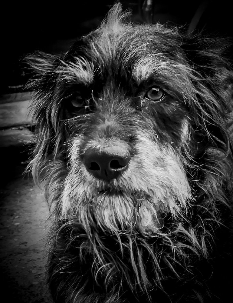 Фотография автора Sergey Sokolovsky