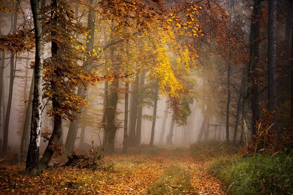 Photograph by  MiroM