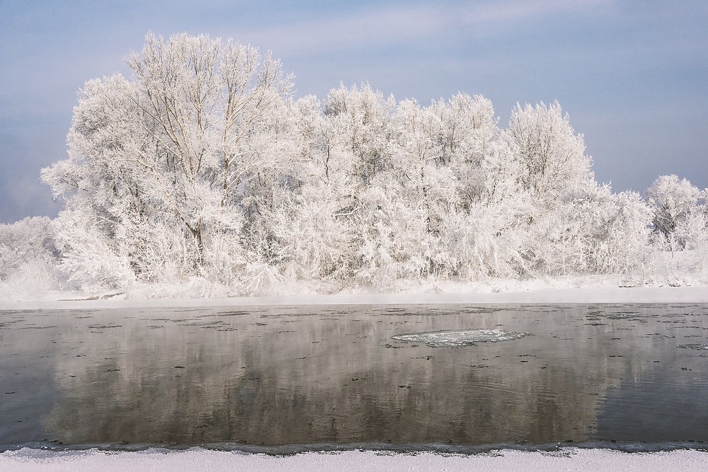 Протоки Иртыша