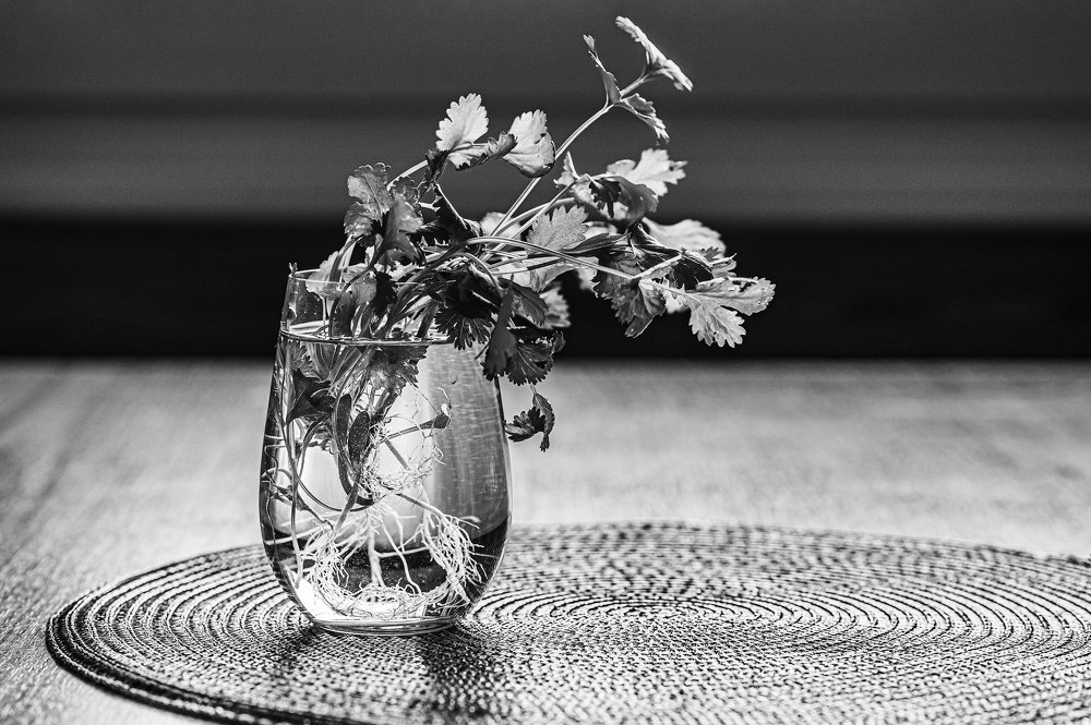 Photograph by Svetlana Soboleva