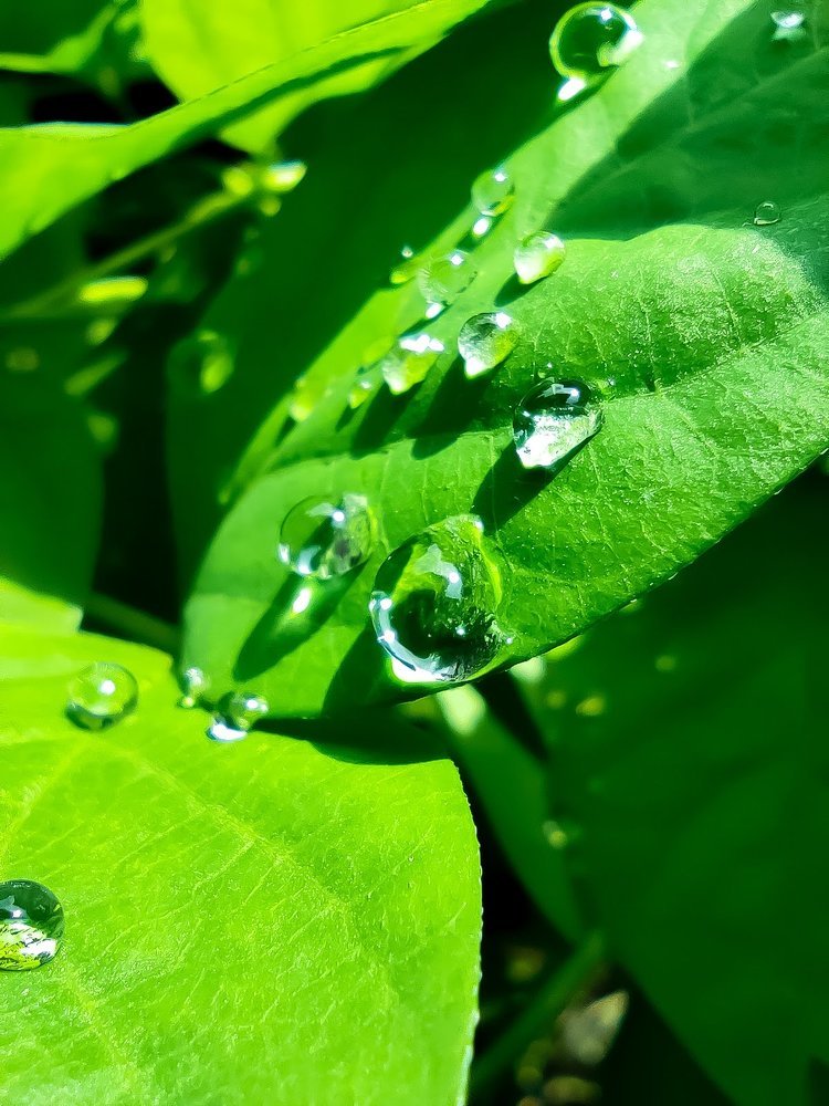 Photograph by Rishav Singha