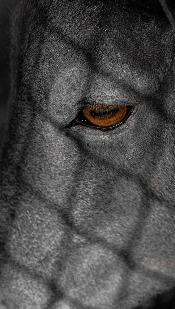 Photograph by Issam Bouanak