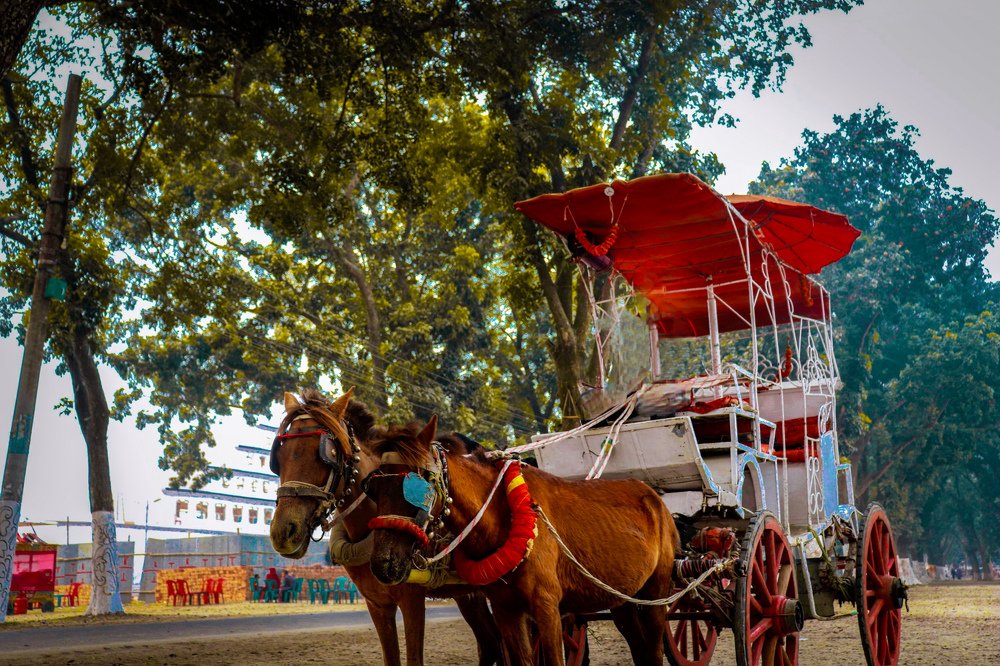 Traditional South Asian Horse wain