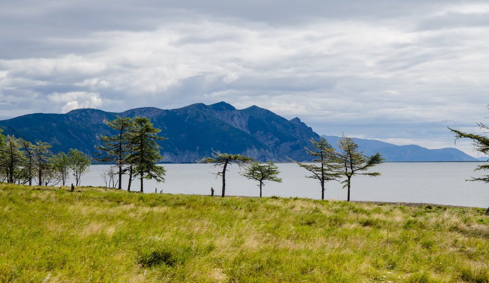 Photograph by Галина Проценко