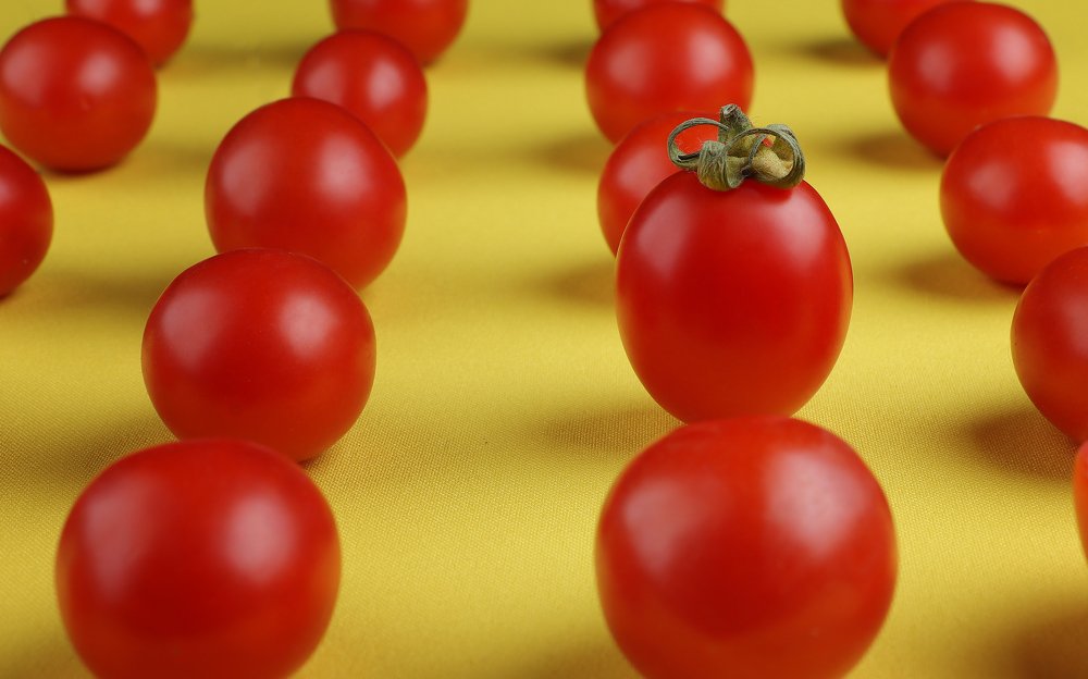 Photograph by Александр Филатов