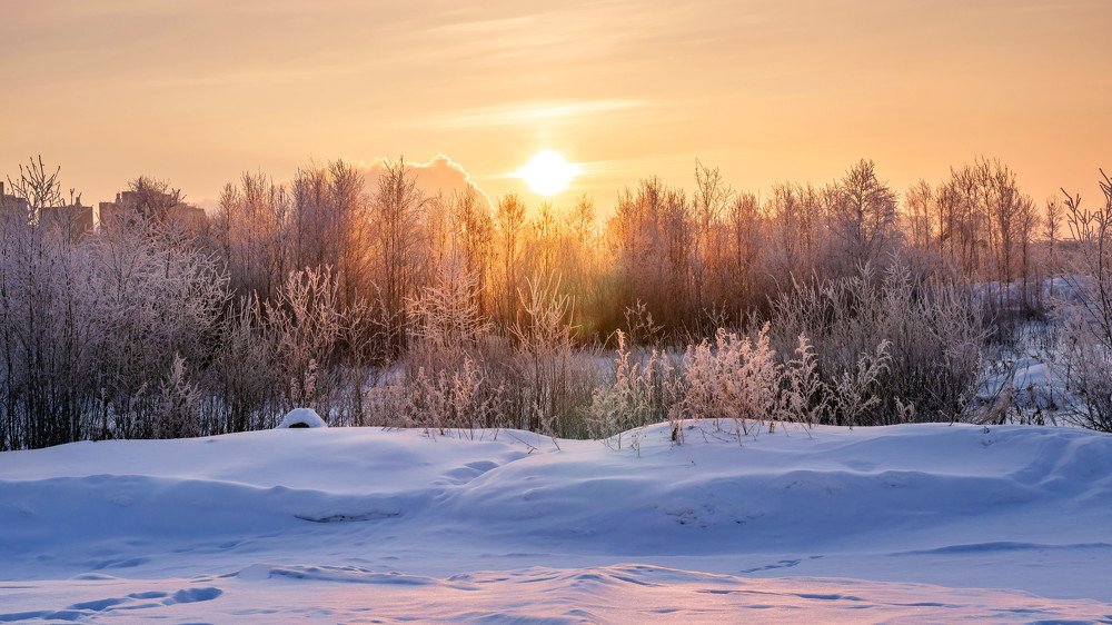 Photograph by KirillK